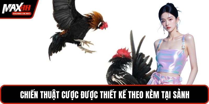 Chiến thuật cược được thiết kế theo kèm tại sảnh