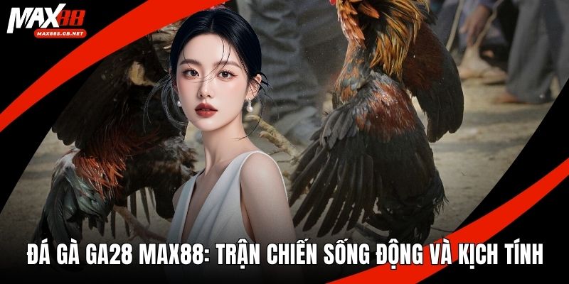 Đá Gà GA28 MAX88: Trận Chiến Sống Động Và Kịch Tính