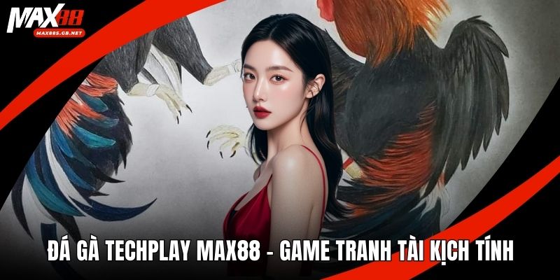 Đá Gà Techplay MAX88 – Game Tranh Tài Kịch Tính, Sống Động