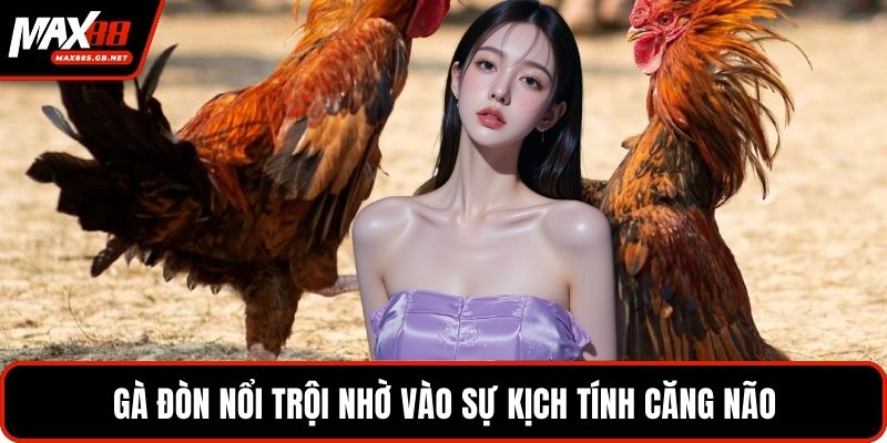 Gà đòn nổi trội nhờ vào sự kịch tính căng não