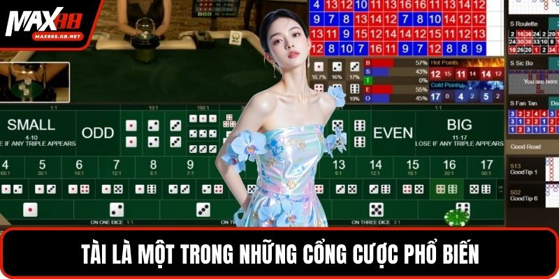 Tài là một trong những cổng cược phổ biến