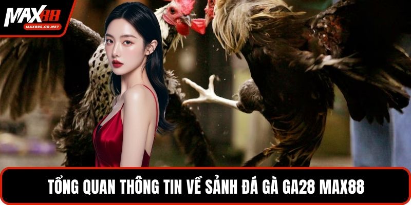 Tổng quan thông tin về sảnh đá gà GA28 MAX88
